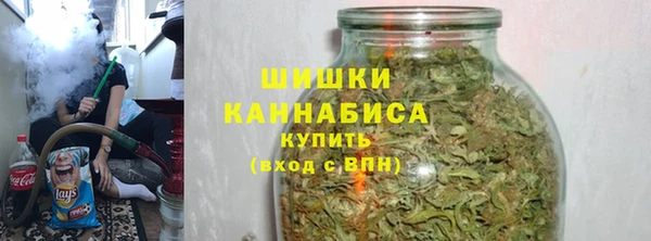 дживик Баксан