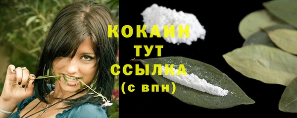 дживик Баксан